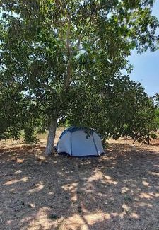 Muro Leccese Other | La Sosta del Viandante - Camping