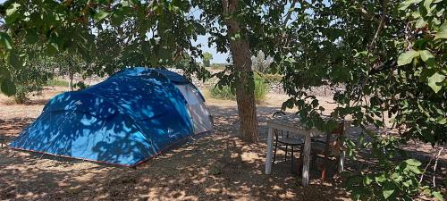 Muro Leccese Other | La Sosta del Viandante - Camping