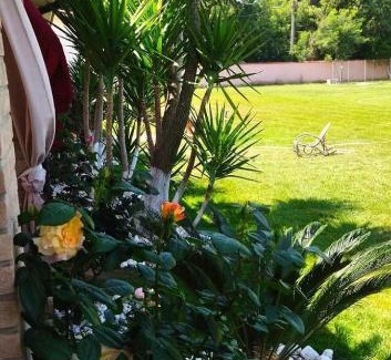Borgo Santa Maria Bed & Breakfast | La Tenuta del Passero