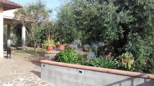 Reggello Apartment | La Terrazza di Cascia
