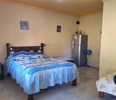 Las Horquetas Apartment | La Tica