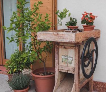Belluno Bed & Breakfast | La Tieda - locazione turistica Reolon