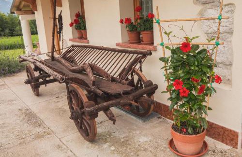 Belluno Bed & Breakfast | La Tieda - locazione turistica Reolon