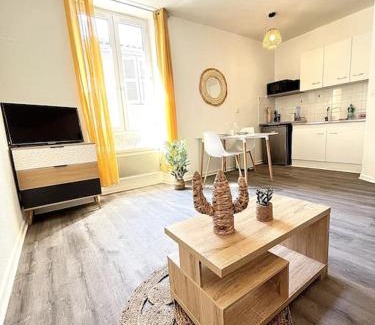 Romans-sur-Isere Apartment | La Topaze Jaune - Romans