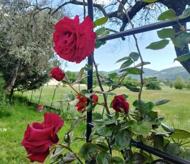 Sarzana House | La Tua Dimora tra le Cinque Terre e le Alpi Apuane