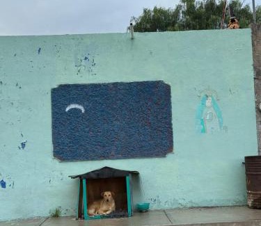 Downtown Queretaro House | La Vecindad