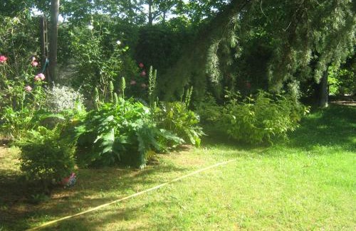 Viterbo Bed & Breakfast | La Villa di Lucia