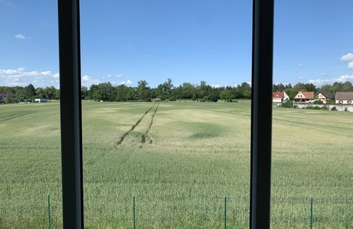 Daubensand House | La Villa du Ried, close to the wilderness and EuropaPark