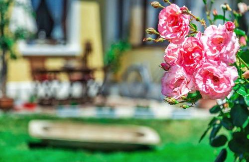 Balatonfured Apartment | Lady Lavender House