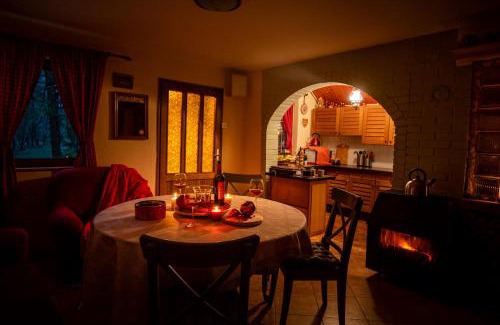 Banatski Karlovac Cabin | Ladybird Lodge