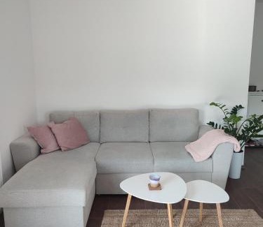 Banja Koviljaca Apartment | LadyDi apartman
