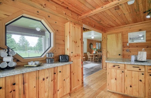 Island Park Cabin | Lake Access|Grill|Fast WiFi