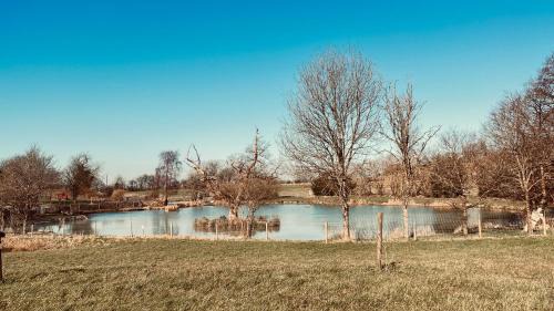 Cameley Apartment | Lake House - beautiful countryside retreat