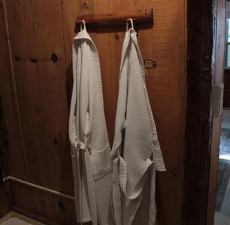 Greenbush House | Lake Huron Lady of the Lake Pet Friendly Cabin w Hot Tub, Sauna