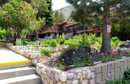 Lee Vining Cabin | Lake View Lodge