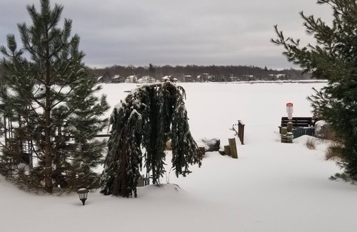 Tobyhanna House | LAKEFRONT,BBQ,10KAYAKS,VACATION,2SUP,gateway,enjoy&relax,RowBoat,Fish