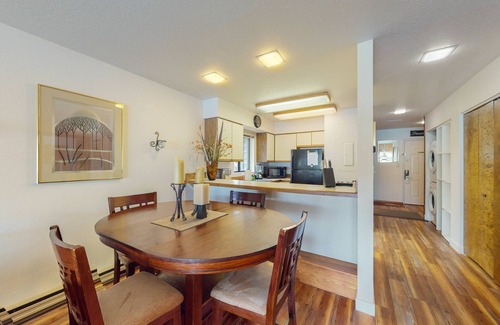 Bigfork Condo | Lakefront condo with balcony, stunning views, fast WiFi & W/D