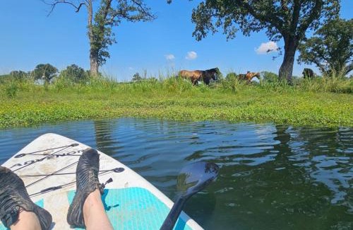 Emory House | Lakefront w Fire Pit, Lake Fun, and Horse Feeding