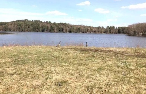 Swan Lake House | Lakeside Cottage 4 Bedroom, incredible lake views!