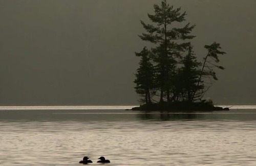 Rideau Lakes Ski Chalet | Lakewood on Opinicon Lake- Chaffey's Lock