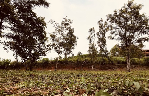 Madikeri House | Lakshmi's Home Stay - a home away from home