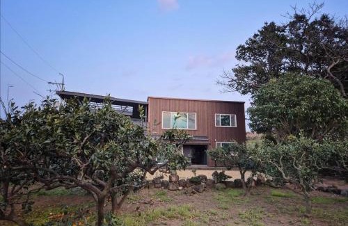 Hallim House | Lalala the Pretty Hyupjae Pension