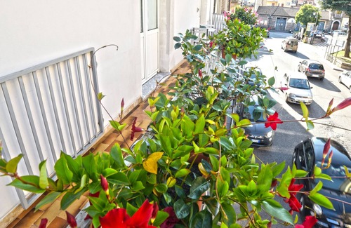 Lamezia Terme Apartment | Lamezia Terme family apartment "girasoli"