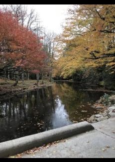 Newland House | Land Harbor Lodge
