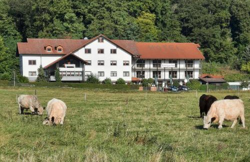 Ortenberg Hotel | Landgasthof Rotlipp Gästezimmer