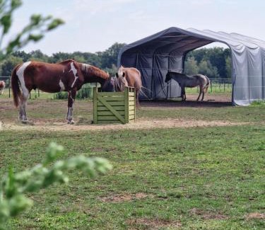 Municipality of Landerd Bed & Breakfast | Landgoed de Bossenhoeve
