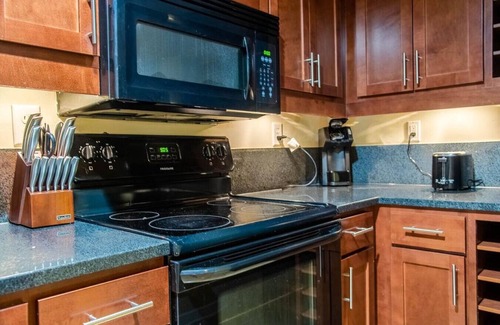 Petersburg Apartment | Landing at Perry Street Lofts - 1 Bedroom in Petersburg