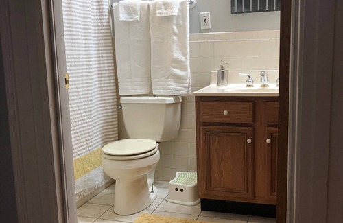 Soulard House | Large Home in Heart of Soulard- close to Downtown!