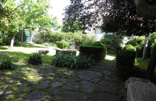 Paulhan House | Large independent house with shaded garden in southern village