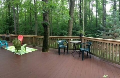 Champion House | Large Log Cabin on 3 wooded acres Seven Springs Resort/Hidden Valley/Champion