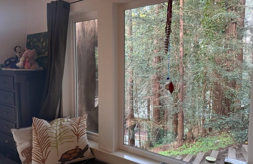 Mill Valley House | Large Modern Home in Redwood Grove Steps to Vibrant Mill Valley