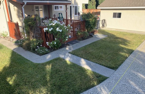 Palo Alto House | Large Palo Alto Home, Pool, 5 beds/3 baths, in the Heart of Palo Alto