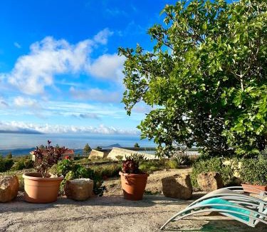 Granadilla de Abona House | Las Casitas - Casa Higo