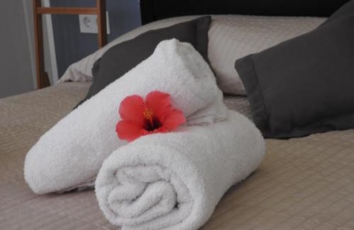 San Eugenio House | Las Flores studio 3