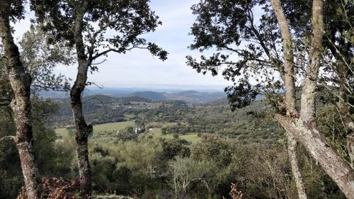 Cazalla De La Sierra House | Las Navezuelas