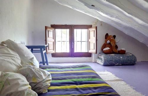 Rute House | Las Parras