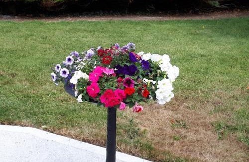 Shannonbridge Bed & Breakfast | Laurel Lodge