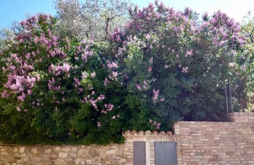 Assisi Apartment | Lavanda e Rosmarino Home