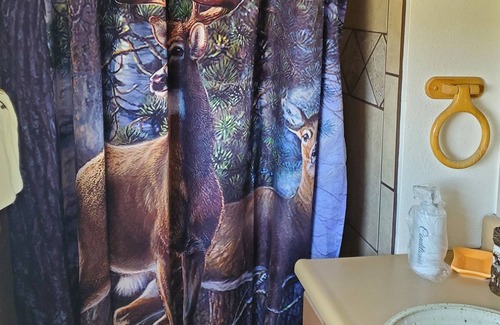 Alamosa Bed & Breakfast | Lavender Trail Ranch