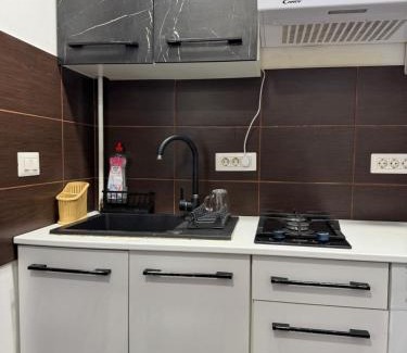 Iasi Apartment | LC STUDIO Iași-Podu Roș