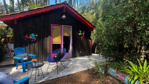 Lacanau Ski Chalet | Le Cabanon entouré de Pins