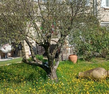 Pernes-les-Fontaines Apartment | Le charme de Landra