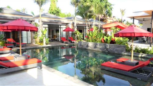 Lovina Hotel | Le Chien Rouge