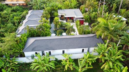 Lovina Hotel | Le Chien Rouge