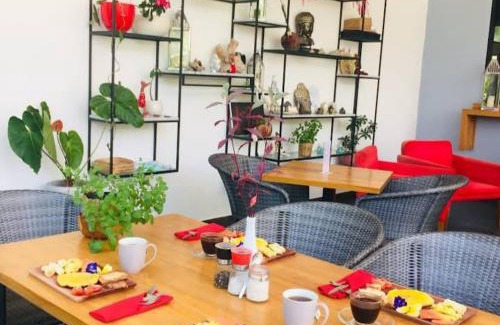 Lovina Hotel | Le Chien Rouge