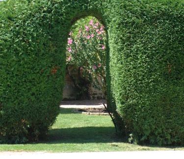 La Chapelle-sur-Loire House | Le Clos de La Chapelle - Gîte Les Glycines